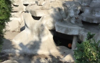 Sus Havuzu-Su Yalitimi-02