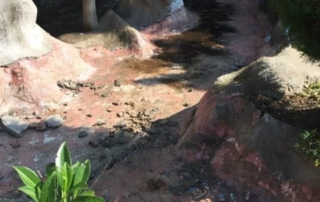 Sus Havuzu-Su Yalitimi-12